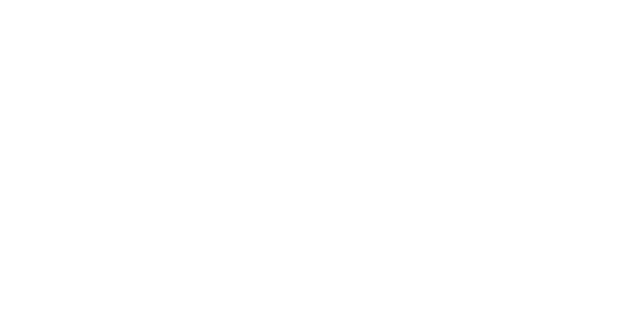 DIE HOLZBAUER Rieder & Klingler OG Zimmerei Logo